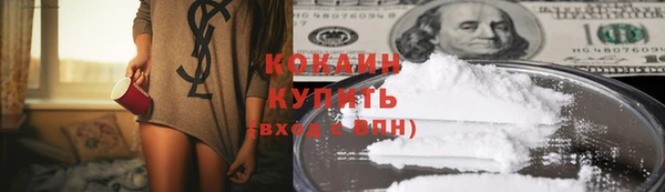 стафф Вязьма
