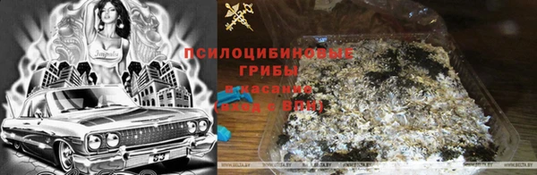 дурь Вязники