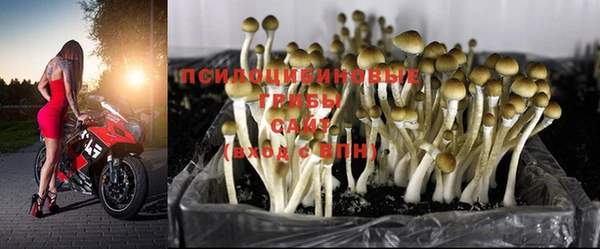 jwh Вяземский