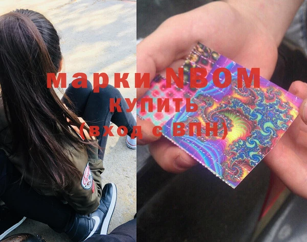 стафф Вязьма