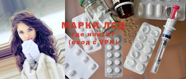 стафф Вязьма